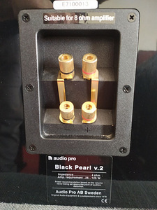 Audio Pro Black Pearl v.2 kõlarid (4 foto / 4)