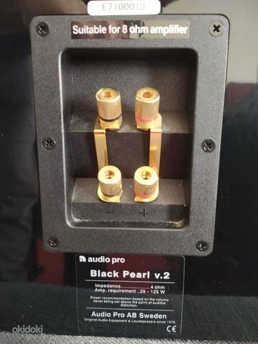 Аудио колонки Pro Black Pearl v.2 (фото #4)