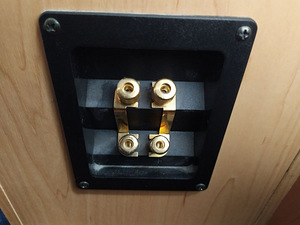 RADIOTEHNIKA X-Line FS-10.1 kõlarid (7 foto / 9)