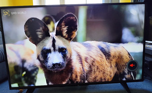 55" JVC LED Smart UHD 4K WiFi teler televiisor telekas (2 foto / 5)