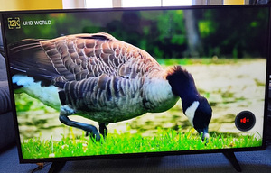 55" JVC LED Smart UHD 4K WiFi teler televiisor telekas (3 foto / 5)