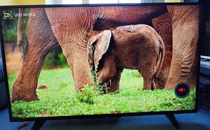 55" JVC LED Smart UHD 4K WiFi teler televiisor telekas (4 foto / 5)