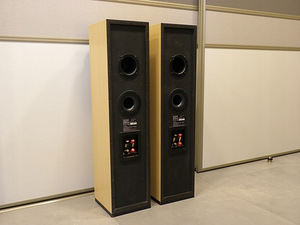 Акустические системы TECHNICS SB-CA21 (2 фото из 6)