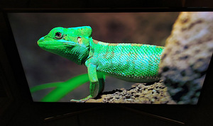 40" Samsung SMART WIFI 4K UHD teler / televiisor / TV (2 foto / 3)