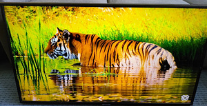 40" Samsung 4K UHD SMART WiFi teler telekas televiisor TV (1 foto / 5)