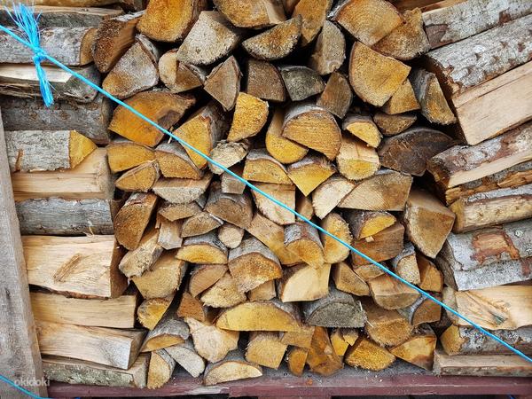 Сухие дрова ( ольха и берёза ) (фото #3)