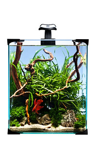Akvaariumi komplekt Diversa Nano 20 LED (2 foto / 3)