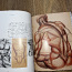 Анатомия для художников "Dynamic Anatomy" Burne Hogarth (фото #4)
