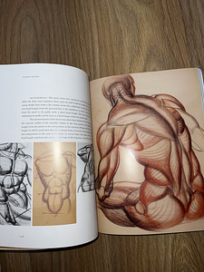 Anatoomia kunstnikele "Dünaamiline anatoomia" Burne Hogarth (4 foto / 4)