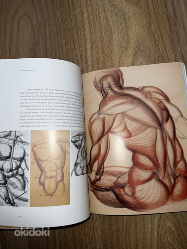 Анатомия для художников "Dynamic Anatomy" Burne Hogarth (фото #4)