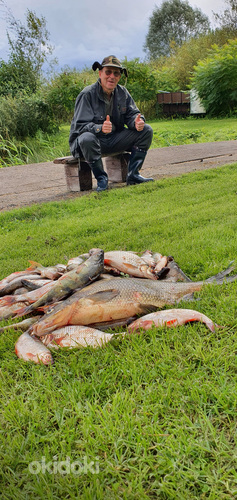 Рыбалка на Чудском озере (фото #2)