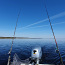 Рыбалка на Чудском озере (фото #3)