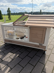 Küüliku/jänese puur (3 foto / 5)