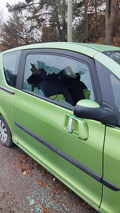 Peugeot 1007 varuosadeks tervikuna (5 foto / 5)