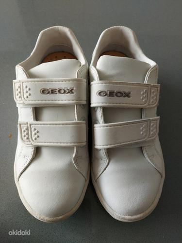 Ecco 30, geox 31 детская обувь (фото #3)