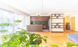 Männimetsa tee 10, Nõmme, Tallinn, Harjumaa (6 foto / 50)