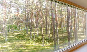 Männimetsa tee 10, Nõmme, Tallinn, Harjumaa (17 foto / 50)