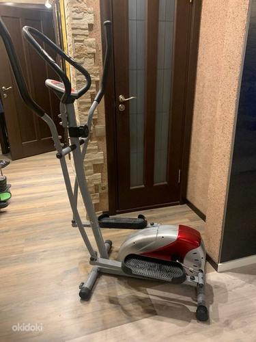 N1 Cross Trainer 5.0 Narva okidoki