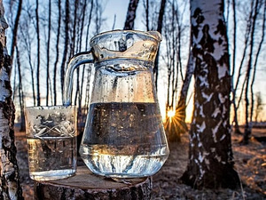 Kasemahl Березовый сок