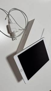 iPad pro 9.7 Wi-Fi+Cellular 32 GB (silver) (1 foto / 6)