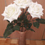 Декоративные розы в плетёной вазе (фото #1)