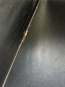 Koerapuur Suurus L autosse (5 foto / 6)