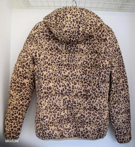 Куртка для девочки, размер 158-164 (фото #2)