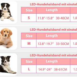UUS! LED koera kaelarihm (4 foto / 9)