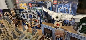 Lego Harry Potter. Suur kollektsioon. (9 foto / 10)