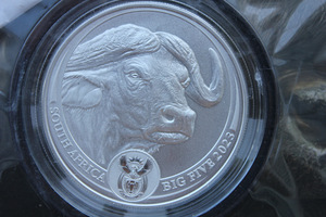 1 oz 5 Rand South African Big Five Silver coins (5 foto / 9)