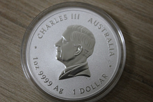 Austraalia Lunar III 1 dollar "Madu" 2025 a. 1 OZ Hõbe (3 foto / 4)