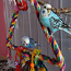 Продам молодую и здоровую самку волнистого попугайчика (фото #4)