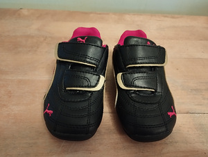 Puma tossud 21 (2 foto / 3)