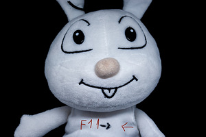 Canon 1Ds Mark II (8 foto / 9)