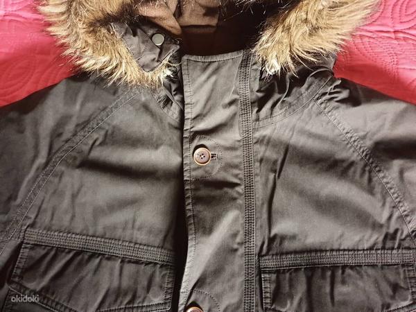 Timberland sulejope/parka s XL (foto #4)