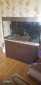 Akvaarium 360l (3 foto / 3)
