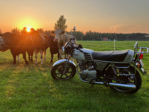 Yamaha XS 400 aasta 1978 must number (6 foto / 6)