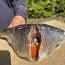 Вяленая рыба Чудского озера 2023 с икрой (фото #3)