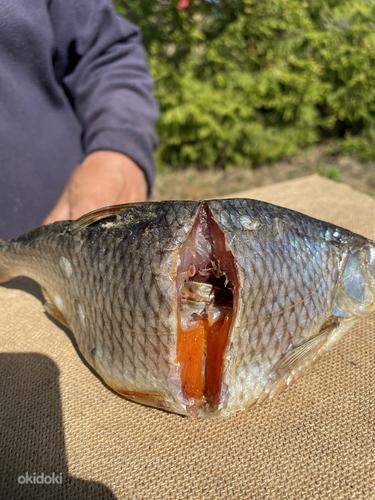 Kuivatatud kala Peipsilt 2023 kalamarjaga (foto #3)