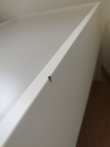 IKEA panipaigaga tegevuslaud "DUNDRA" (6 foto / 7)