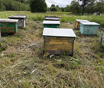 Домики для пчёл