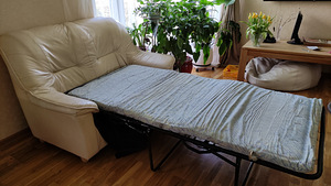 2-kohaline beež nahkdiivan (2 foto / 2)
