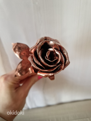 Розы (фото #3)
