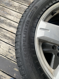 R19 veljed + hakkapeliitta sport plus (5 foto / 5)