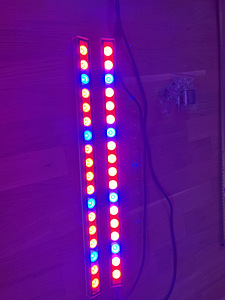 Taime led kasvuvalgustid / grow light / lamp taimedele (6 foto / 7)