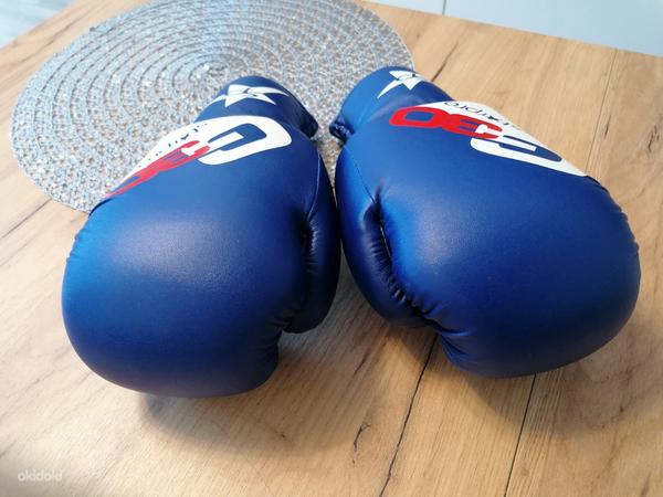 Боксерские перчатки Starpro (фото #2)