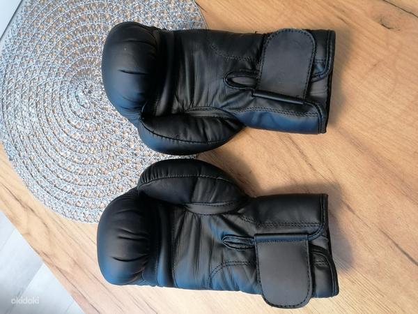 Боксерские перчатки Starpro (фото #6)