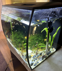 Akvaarium FLUVAL 57L (2 foto / 5)