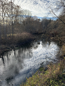 НEA PAKKUMINE HARJUMAAL (13 foto / 14)