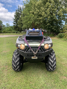 Kawasaki brute force 750 (1 foto / 5)